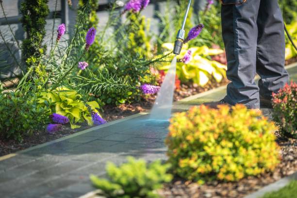 Reliable Terrell, TX  Pressure Washing Services Solutions
