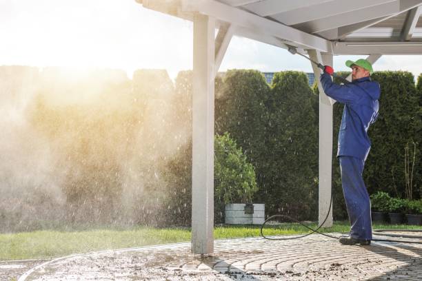 Best Roof Washing  in Terrell, TX