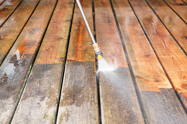 Best Residential Exterior Washing  in Terrell, TX